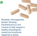 nutra-biogenesis-bioadaptogen-ultra---ad-5.jpg