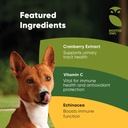 rooted-owl-urinary-support---echinacea-a-3.jpg