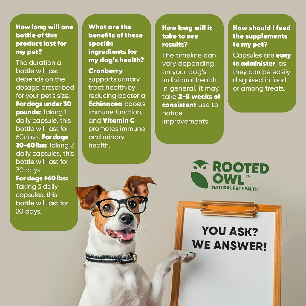 rooted-owl-urinary-support---echinacea-a-6.jpg