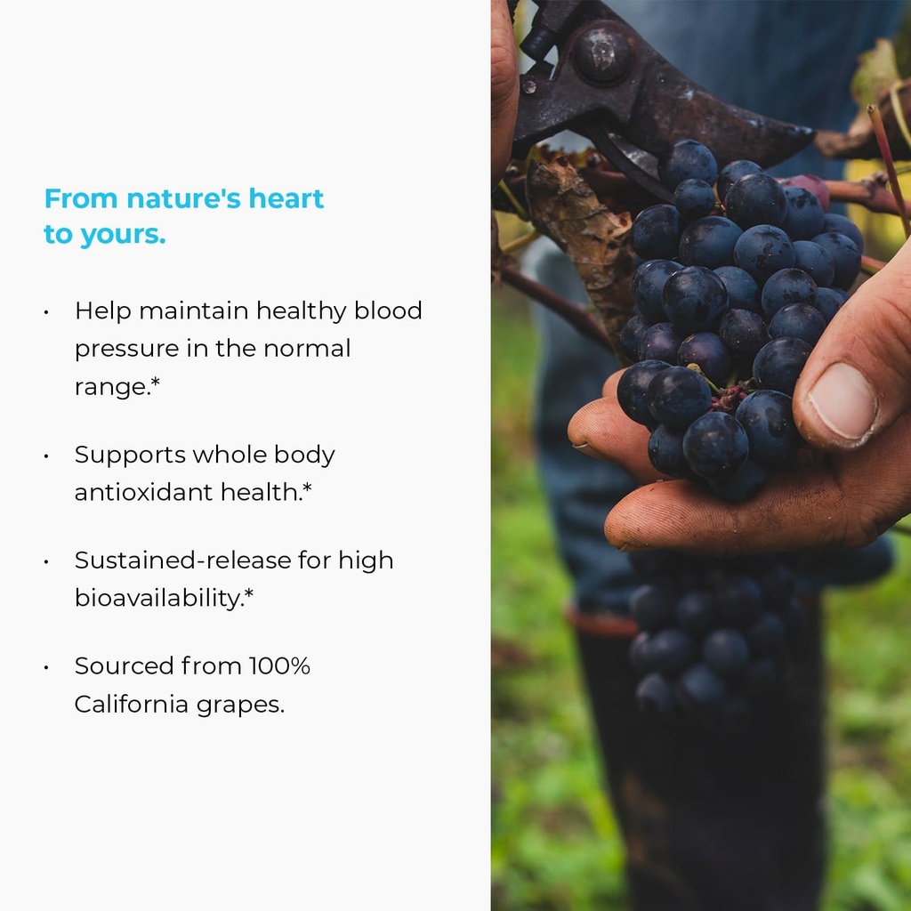 meganatural-bp-grape-seed-extract-sustai-3.jpg