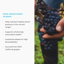 meganatural-bp-grape-seed-extract-sustai-3.jpg