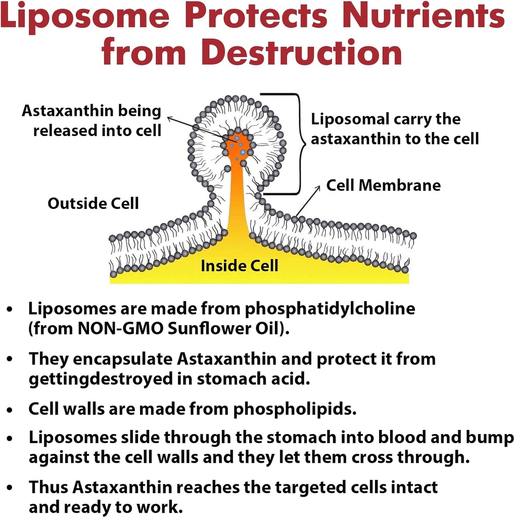 liposomal-astaxanthin-supplement-24mg-ma-5.jpg