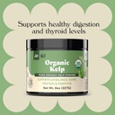 organic-kelp-powder-supplement---bulk-ra-3.jpg