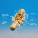 therootbrands-root-wellness-zero-in-by-d-2.jpg