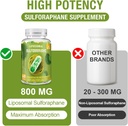 800-mg-liposomal-sulforaphane-powerful-d-4.jpg