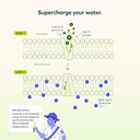 cheers-hydrate-oral-rehydration-solution-3.jpg
