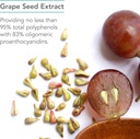 nutricology-grape-pips---grape-seed-extr-5.jpg