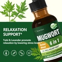 mugwort-herb-liquid-drops-for-sleep-supp-2.jpg