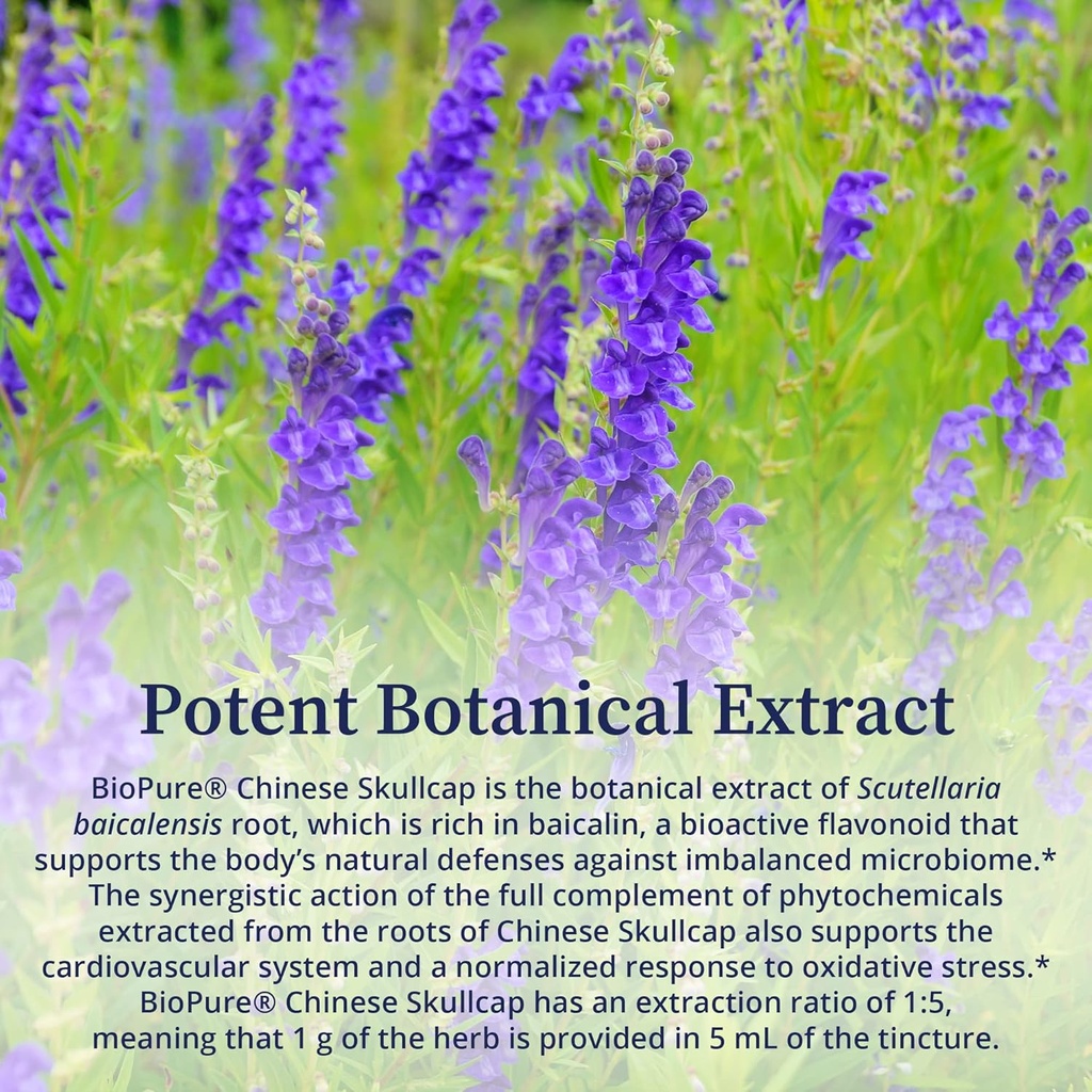 biopure-chinese-skullcap-herbal-tincture-5.jpg