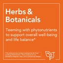 now-supplements-st-johns-wort-hypericum--4.jpg