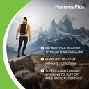 natures-plus-thyroid-ageloss-60-ct-3.jpg