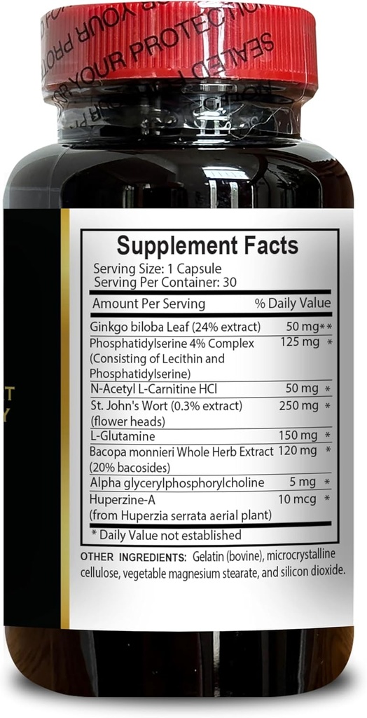 brain-memory-support---brain-function-an-5.jpg