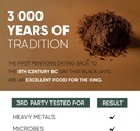 jungle-powders-black-ant-extract-powder--5.jpg