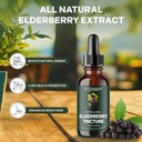 betterbrand-betterlungs-elderberry-tinct-6.jpg