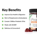 force-factor-probioslim-kombucha-gummies-2.jpg