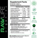 raw-focus-nootropics-brain-boost---30-se-2.jpg