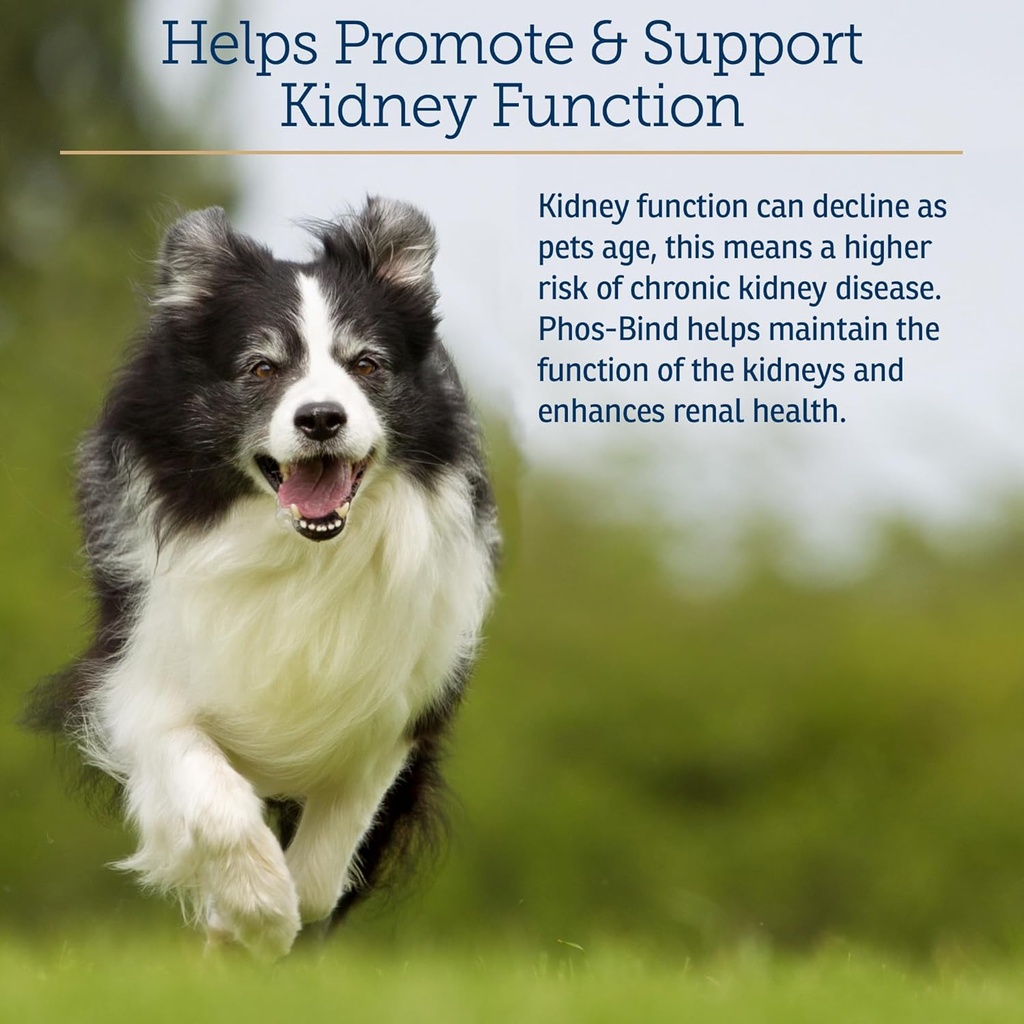 rx-vitamins-phos-bind---kidney-support-s-3.jpg