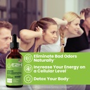 e2h-chlorophyll-liquid-drops---natural-e-2.jpg