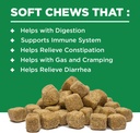 digestive-supplement-for-dogs---recommen-2.jpg