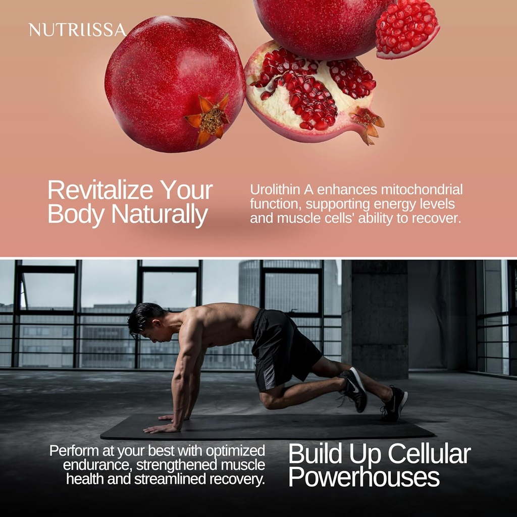 nutriissa-urolithin-a-1000mg---advanced--2.jpg