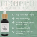 philosophie-sunshine-drops-cosmic-elixir-2.jpg