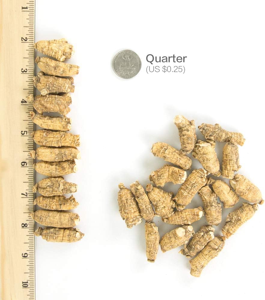 hsus-ginseng-sku-113-4-short-medium-smal-2.jpg
