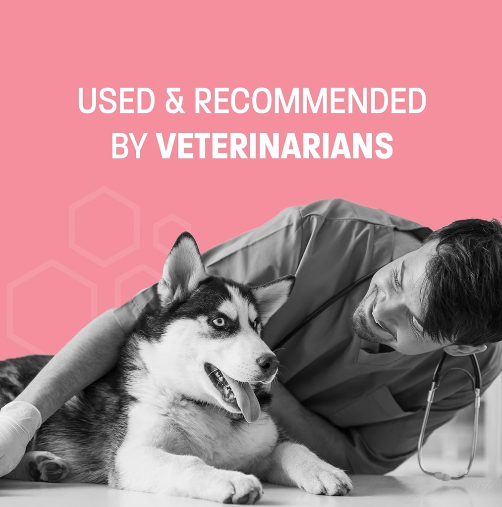 probiotic-oral-paste-for-dogs-cats---sup-6.jpg