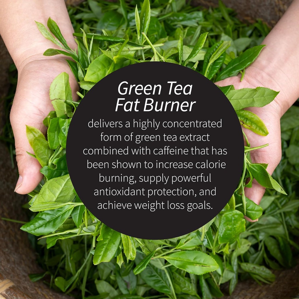 applied-nutrition-green-tea-fat-burner---3.jpg