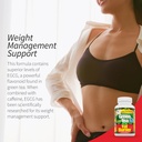 applied-nutrition-green-tea-fat-burner---4.jpg