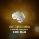 vigor-brain-premium-nootropic-supplement-6.jpg