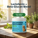 lactoferrin-supplements-for-dogs-powder--3.jpg