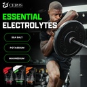 cerus-performance-electrolyte-powder-coc-4.jpg