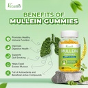mullein-gummies-mullein-leaf-extract-wit-4.jpg
