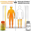 supplements-studio-vegan-immune-energy-w-6.jpg