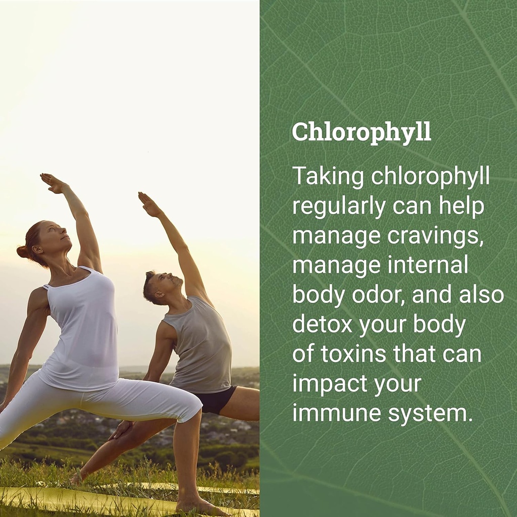 earth-harmony-liquid-chlorophyll-beet-ro-4.jpg