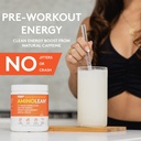 rsp-nutrition-aminolean-natural-pre-work-4.jpg