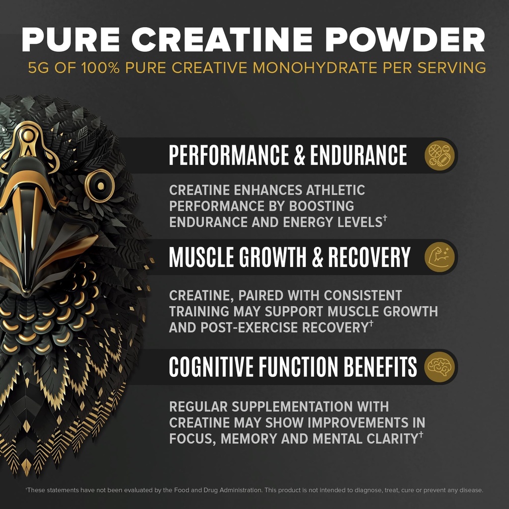 birdman-falcon-performance-vegan-protein-5.jpg