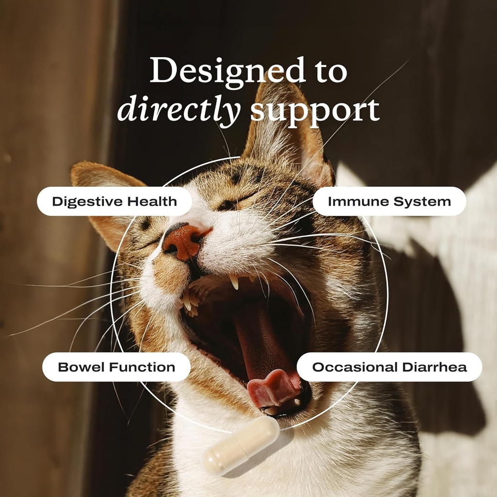 petlab-co-probiotics-for-cats-support-gu-4.jpg