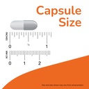 now-supplements-paba-para-aminobenzoic-a-3.jpg