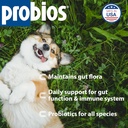 probios-digestive-support-probiotic-for--2.jpg