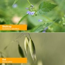 herb-pharm-nervous-system-tonic-liquid-h-5.jpg