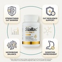 gut-health-gut-barrier-function-epitheli-3.jpg