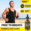 herbify-bundle---mullein-leaf-extract-le-2.jpg