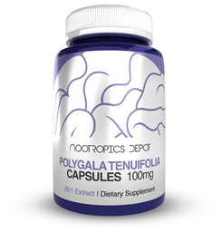 Nootropics Depot Polygala tenuifolia Capsules | 100mg | 180 Count | 20:1 Extract | Yuan Zhi | Promotes Cognitive Function, Learning and Memory | Supports Healthy Stress Levels | Adaptogen Supplement