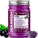 WELLNESS LABSRX Irish Sea Moss Gel Raw - Wildcrafted Superfood Seamoss Gel - Elderberry Flavor, Vitamin and Mineral-Rich from Pristine Caribbean Waters, Immune and Digestive Health Support - 10 oz.