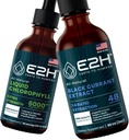 E2H: Liquid Chlorophyll and Natural Black Currant Extract | Vegan, Non-GMO - 2 Fl Oz Each (4 Fl Oz Total) - Bundle
