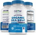 Organic Sea Kelp (Icelandic) Enhanced - Pure Healthy Thyroid Support Natural Iodine Supplement w/Organic Sea Kelp, Blue-Green Algae & Red Algae - Immune System & Metabolism Support - 90 Capsules