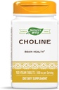 Nature's Way Choline, 500 mg per serving, 100 Tablets (Pack of 2)