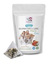 Peppermint Tea - RESPIRATORY AND LUNG SUPPORT TEA 14 Days - astragalus membranaceus root, Cinnamon, Hibiscus, Marshmallow Root, organic herbal tea, lung support herbs, immune tea - 1Pack 14 bags