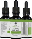 Active Folate Pure Liquid Extract Supplement - L-Methylfolate for Better Absorption, Brain Health, Improve Cellular Function, Support Immune System, Water Soluble B Complex, 1oz - by Ziggy Health